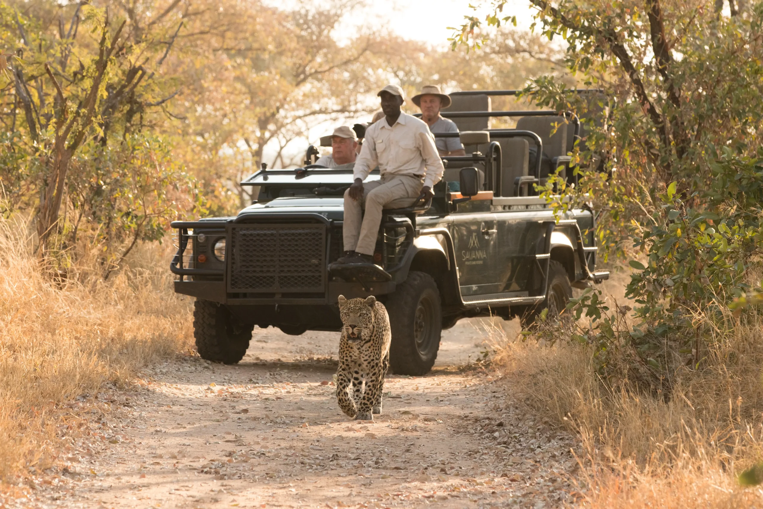 Personalised Expertise Tailored to You